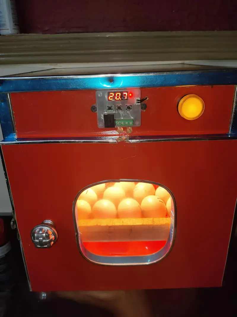 incubator for sale — photo 2