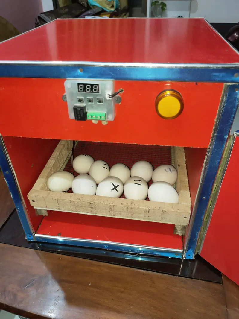 incubator for sale — photo 7
