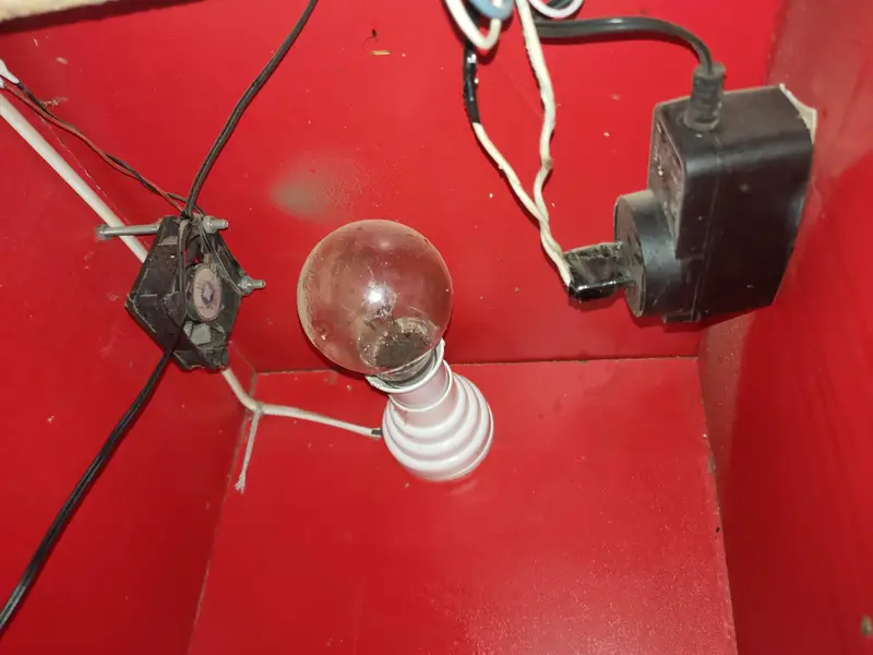 incubator for sale — photo 8