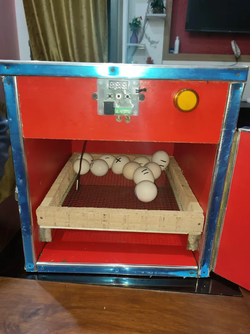 incubator for sale — photo 9