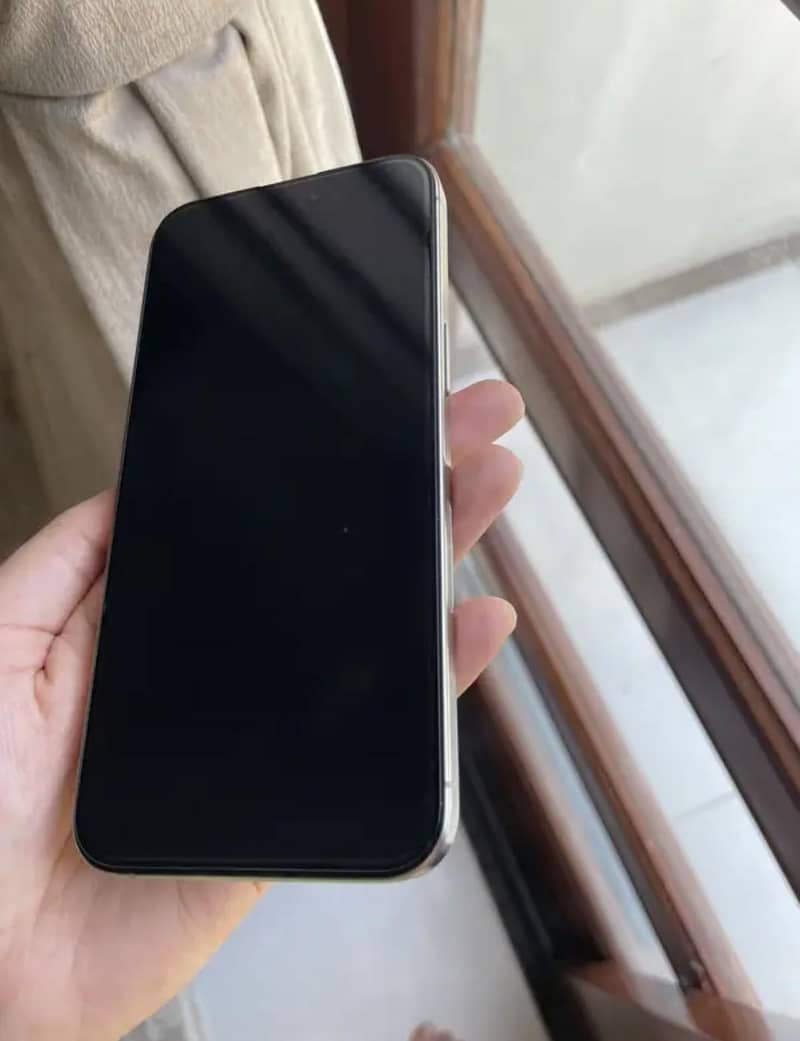Apple iPhone 15 Pro Max 1
