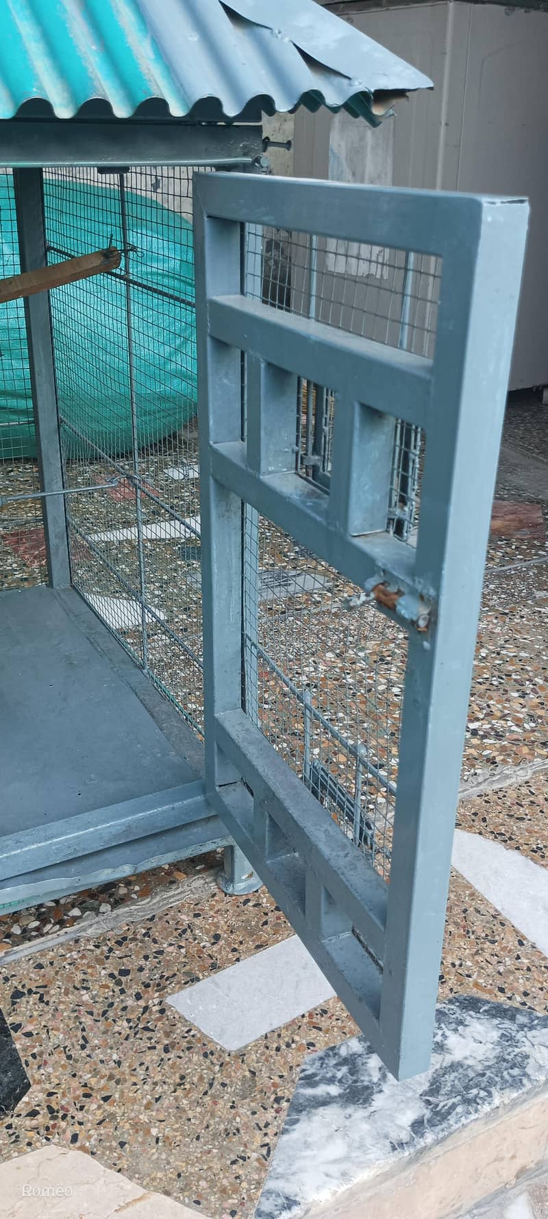 Cage's 2