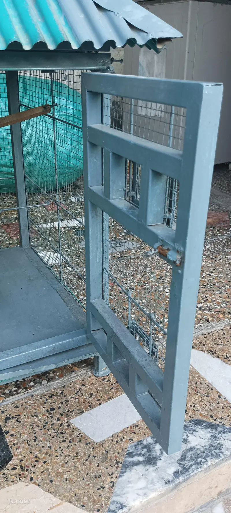Cage's — photo 3