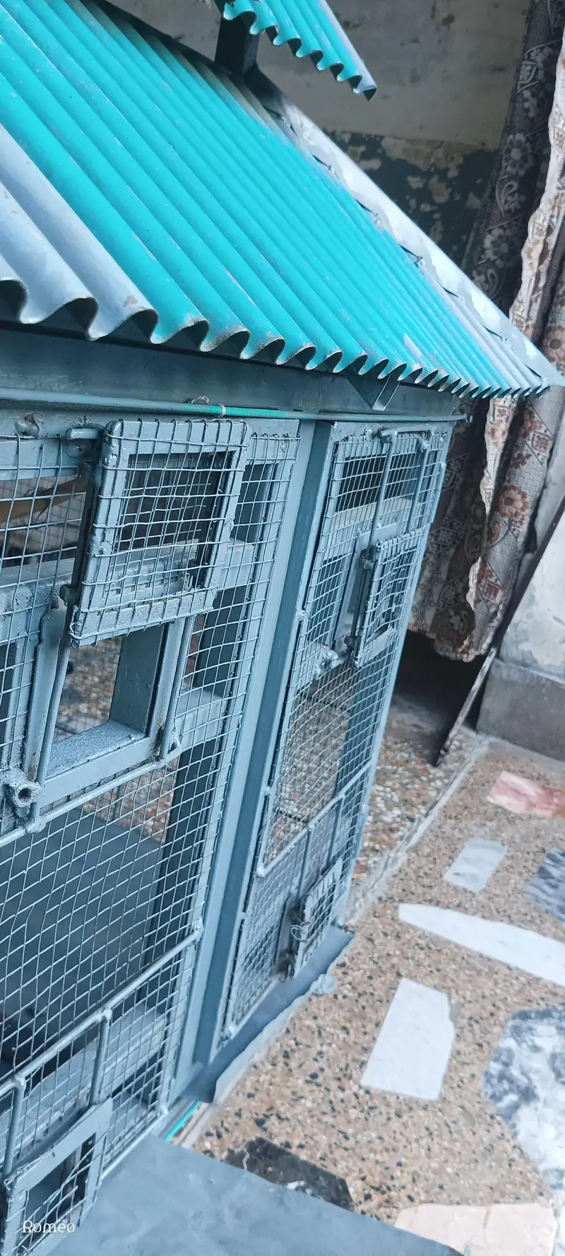 Cage's — photo 4