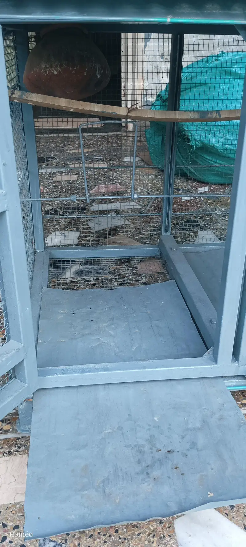 Cage's — photo 5