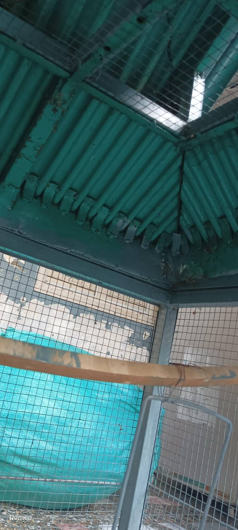 Cage's 5
