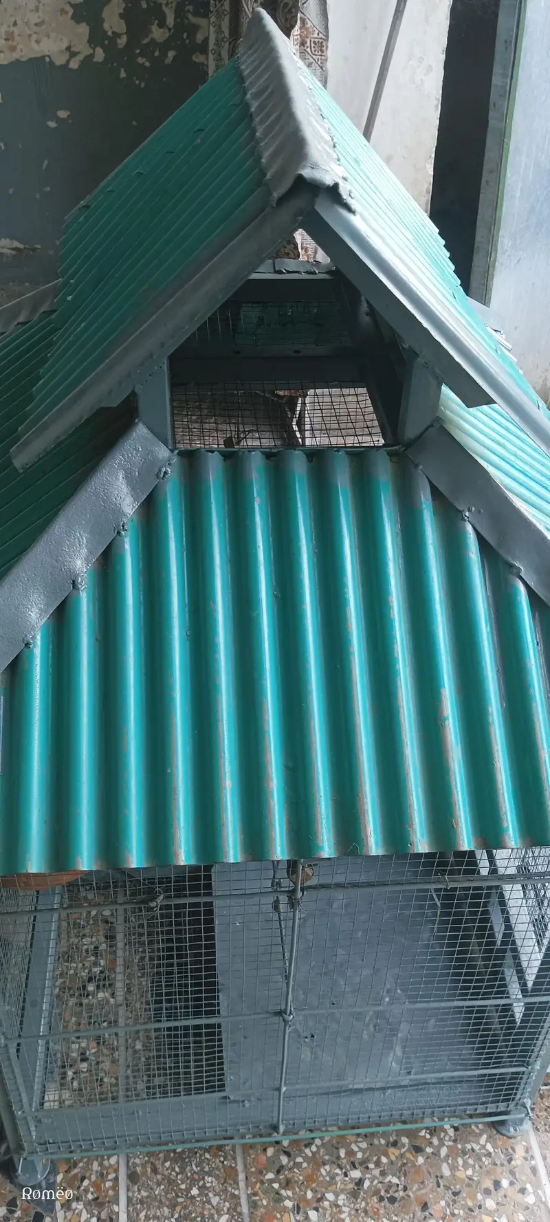 Cage's — photo 8