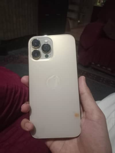 Apple iPhone 13 Pro Max