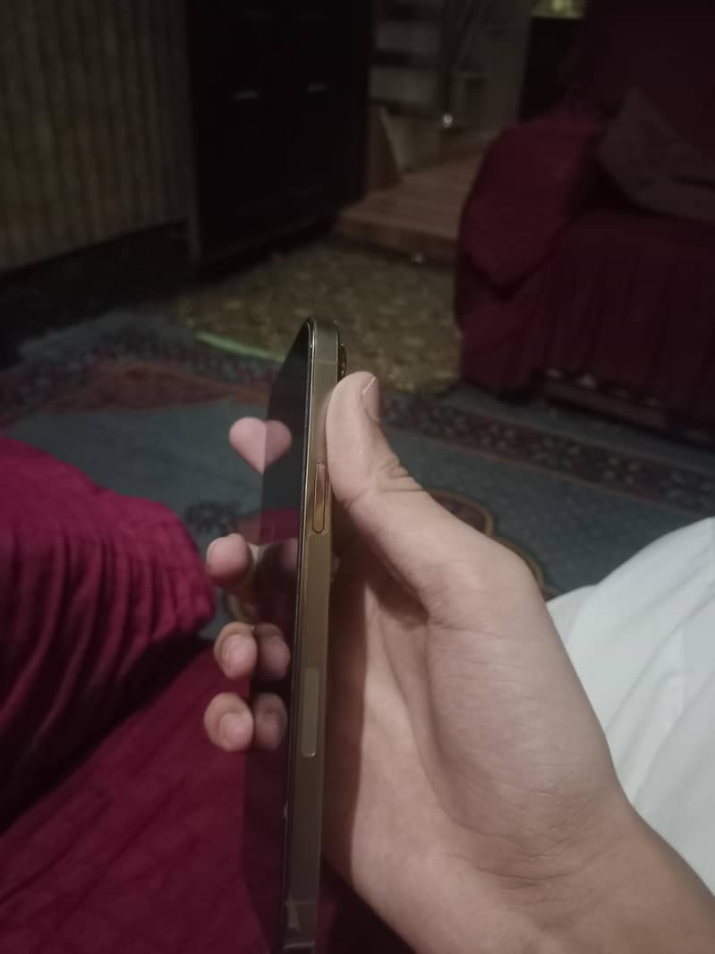 Apple iPhone 13 Pro Max 1