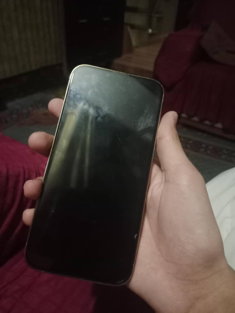 Apple iPhone 13 Pro Max 2