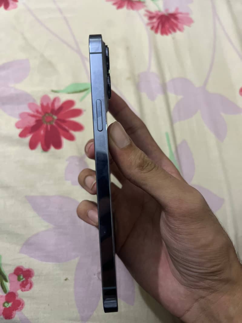 Apple iPhone 13 Pro Max 2