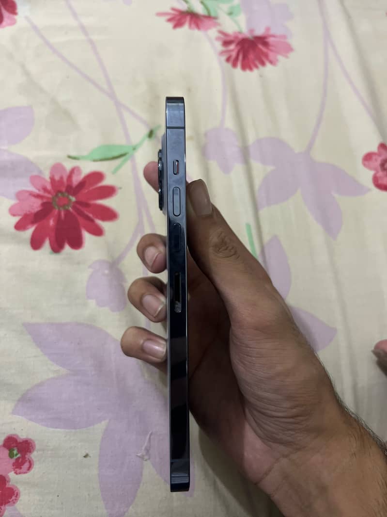 Apple iPhone 13 Pro Max 3