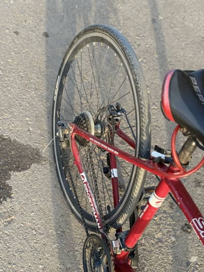 Sportsman cycle