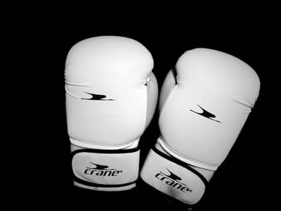 crane boxing gloves