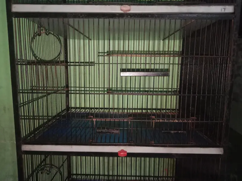 Spacious Bird Cage For Sale — photo 2
