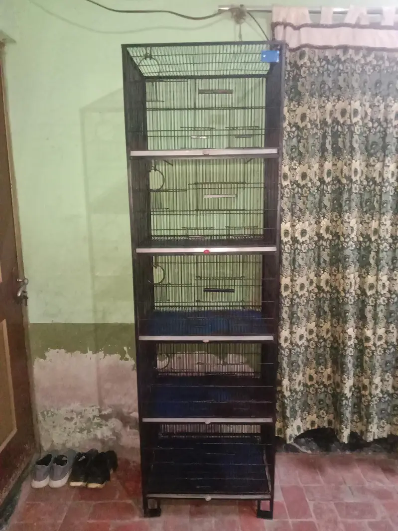 Spacious Bird Cage For Sale — photo 3