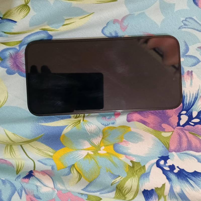Apple iPhone 14 Pro Max 1