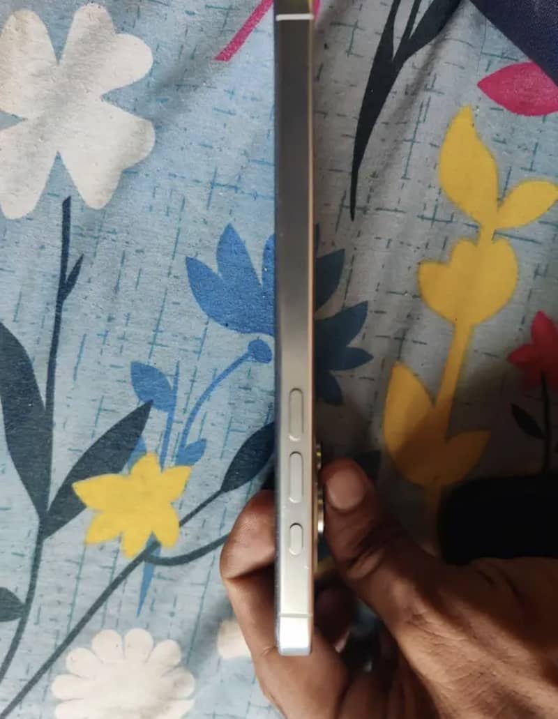 Apple iPhone 16 Pro Max 2