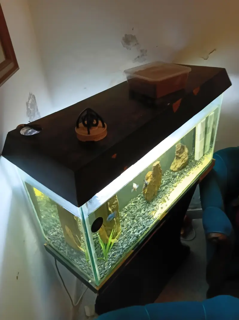 Aquariun For Sale — photo 5