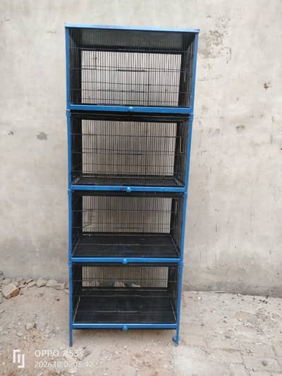 Birds cage