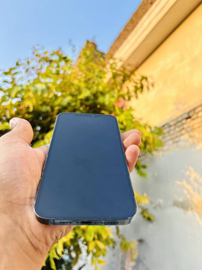Apple iPhone 12 Pro Max 1