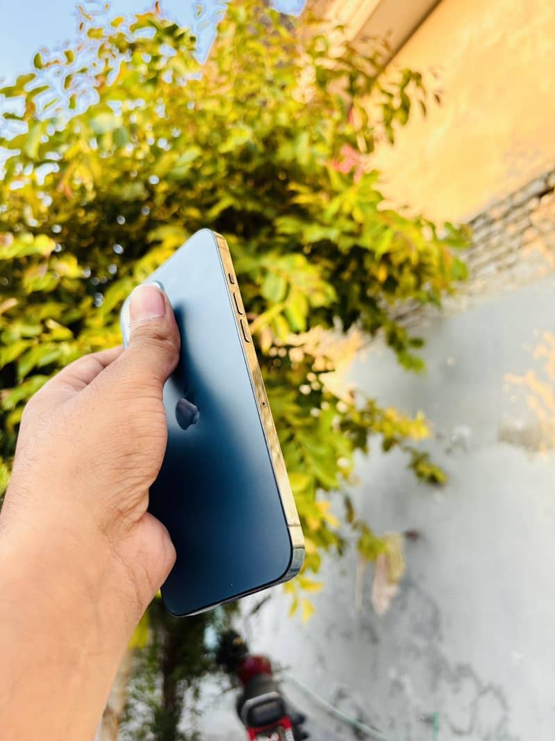 Apple iPhone 12 Pro Max 2