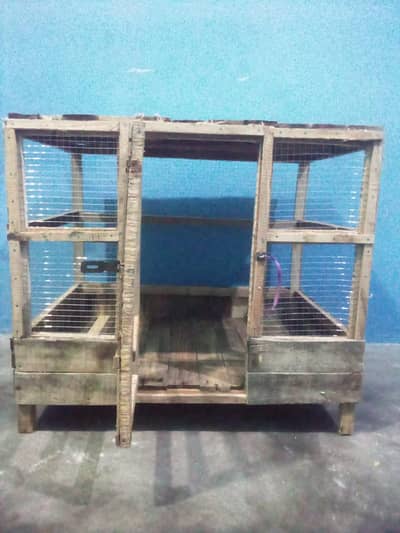 hen's cage
