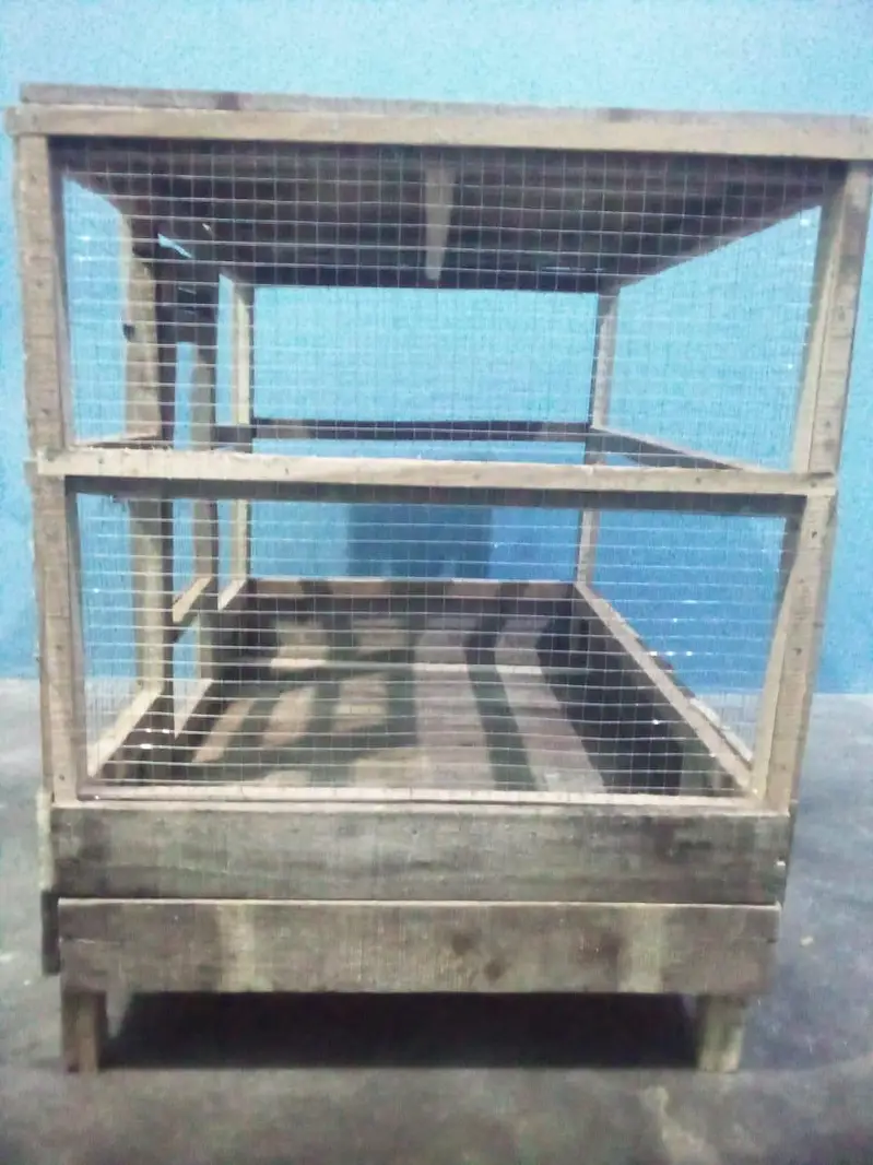 hen's cage — photo 4