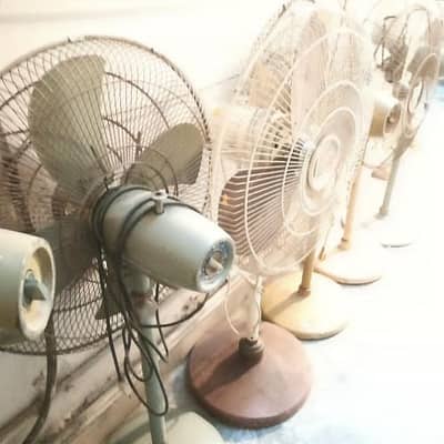 Quantity Pedestal fans