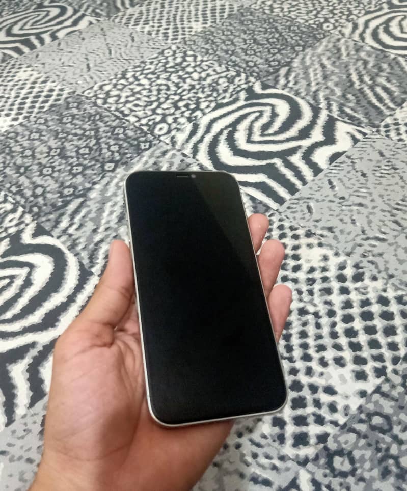 Apple iPhone 12 Pro Max 1