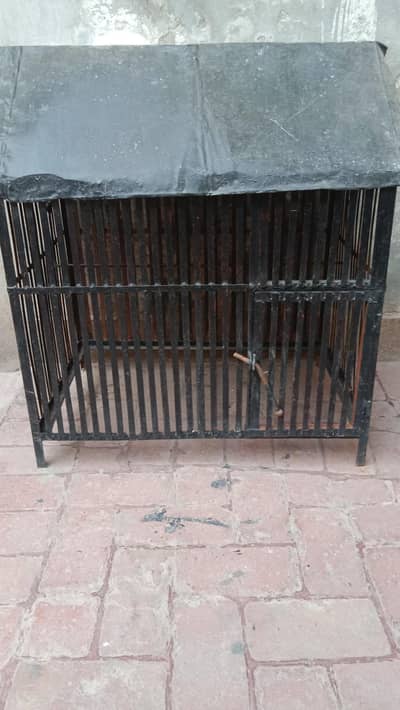Heavy Metal cage