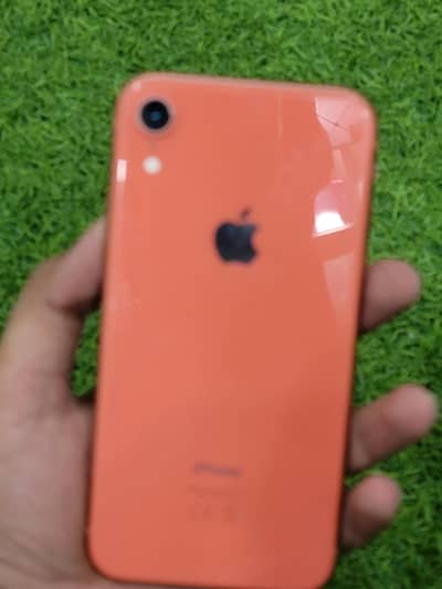 iPhone XR