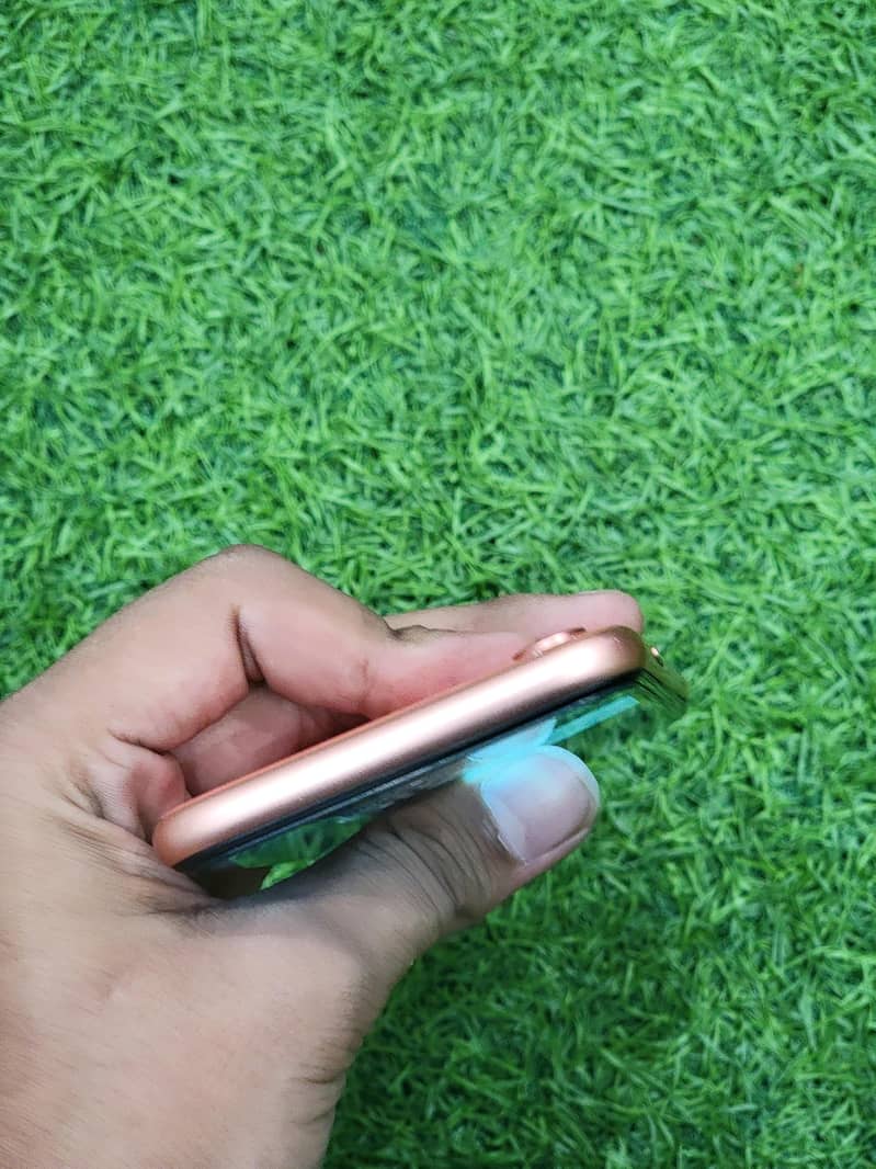 iPhone XR 10