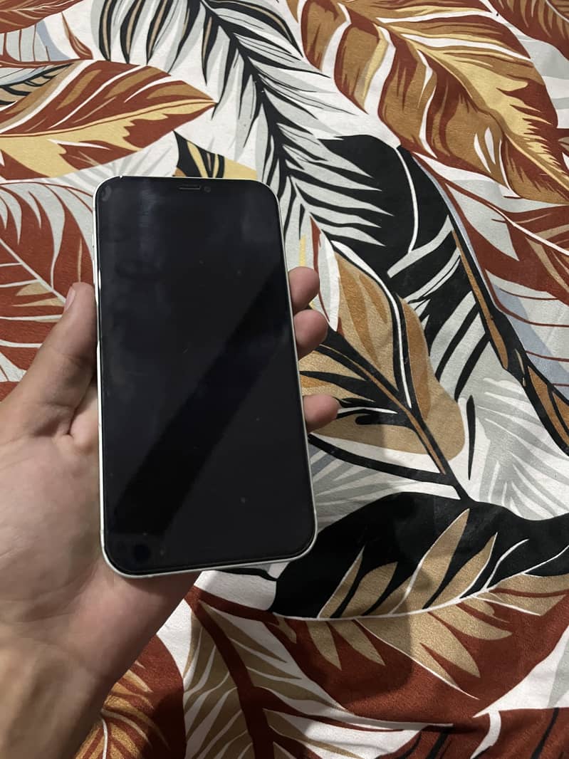 iPhone 12 3