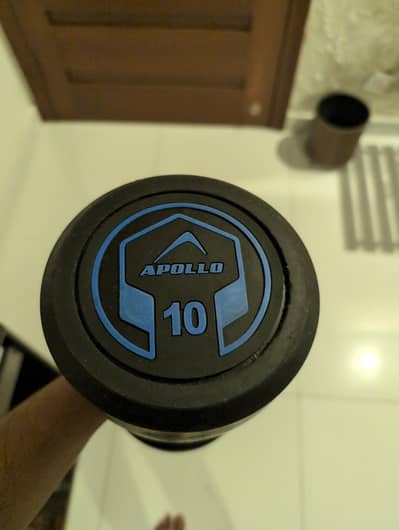 10kg pair dumbbells