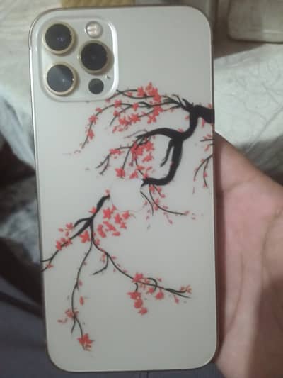 Iphone 12 pro