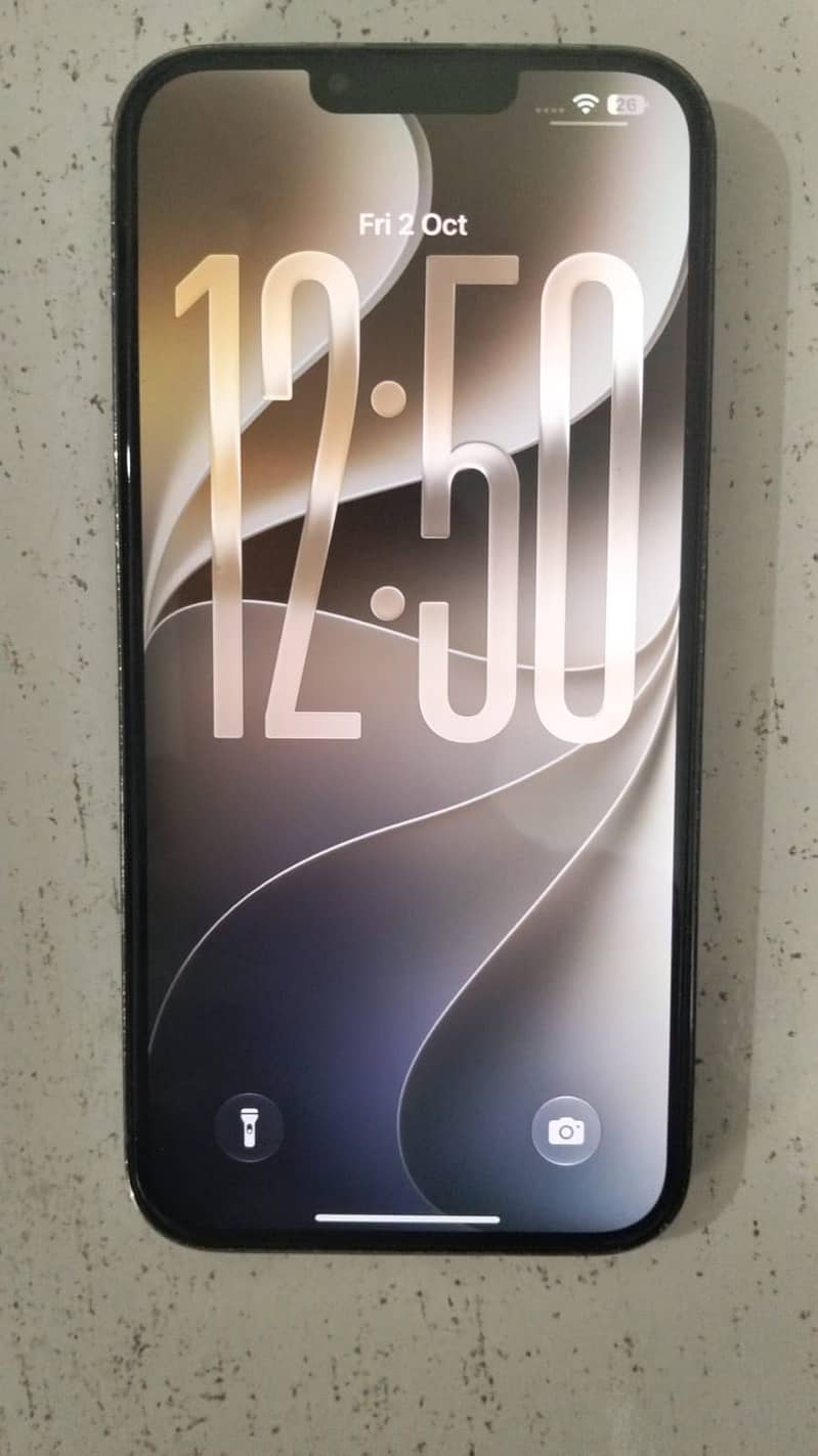 Apple iPhone 13 Pro Max 1