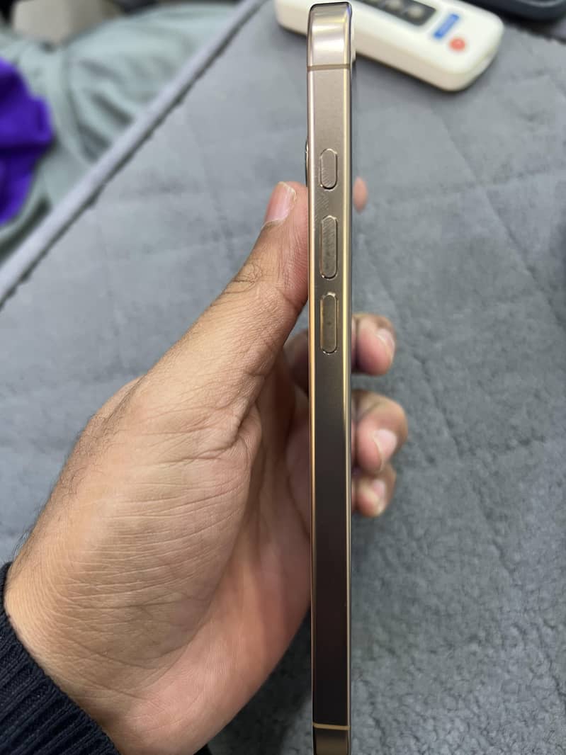 Apple iPhone 16 Pro Max 2