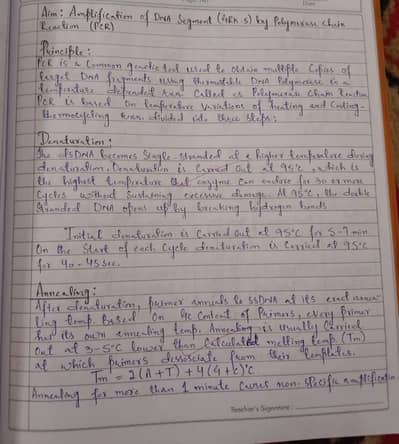 Assignment writing