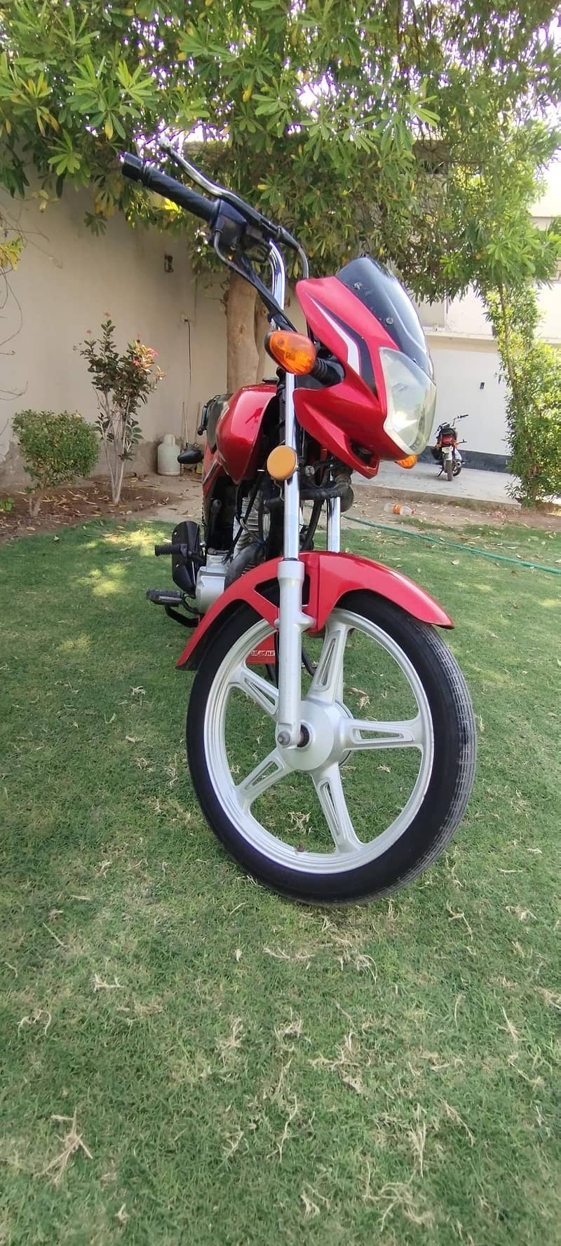 suzuki 8