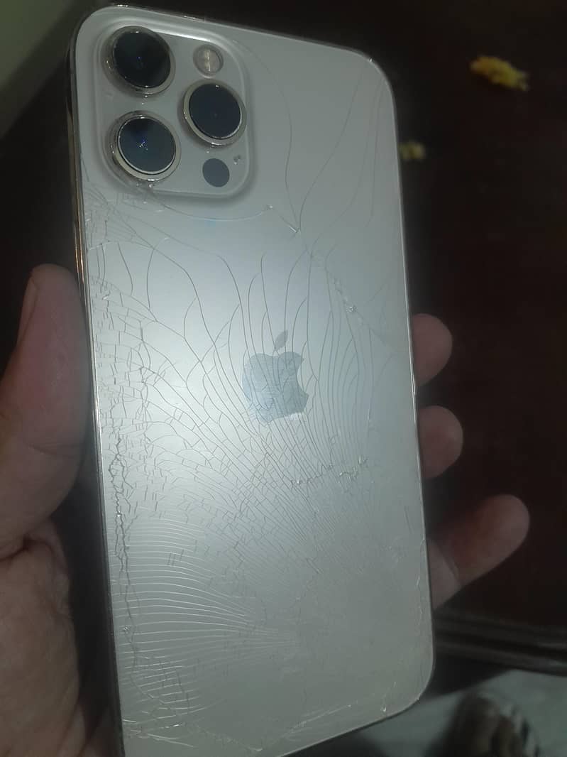Apple iPhone 12 Pro Max 2
