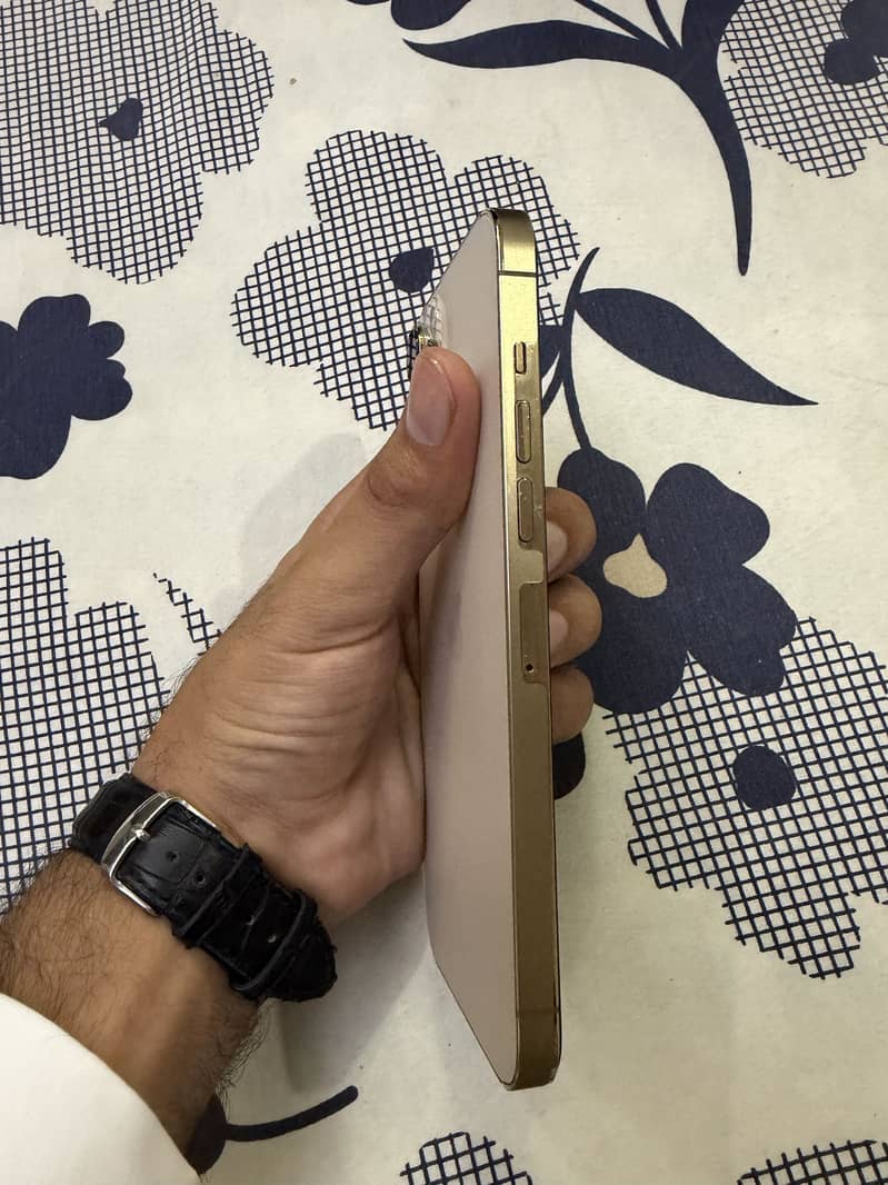 Apple iPhone 13 Pro Max 0