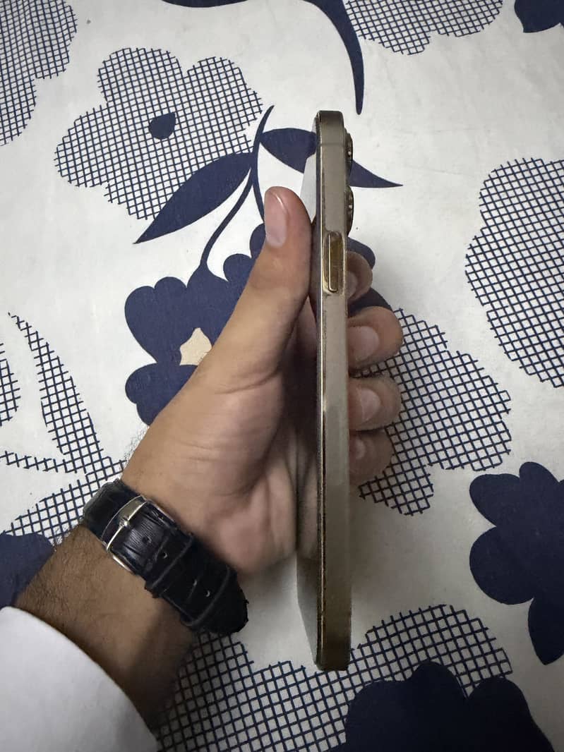 Apple iPhone 13 Pro Max 1