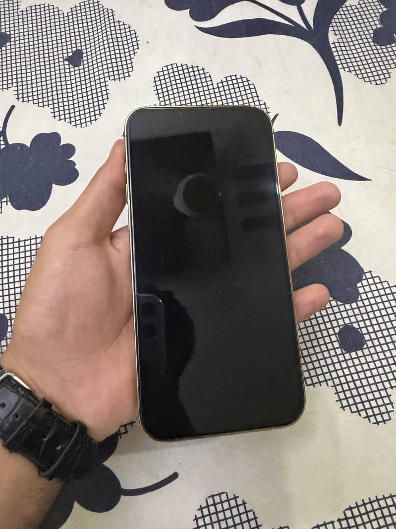 Apple iPhone 13 Pro Max 3