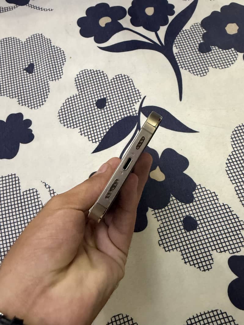 Apple iPhone 13 Pro Max 4