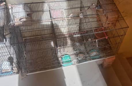 3 Portion Iron cage with tray only. Lohy ka pinjra 3 khany tray