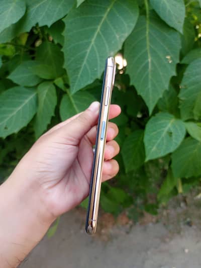 Apple iPhone XS Max