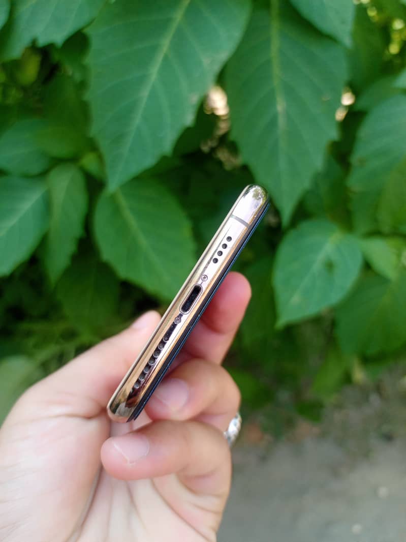 Apple iPhone XS Max 2
