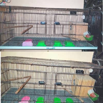 Big Size 2 Portion Cage 2x2x4 Foot - Urgent Sell