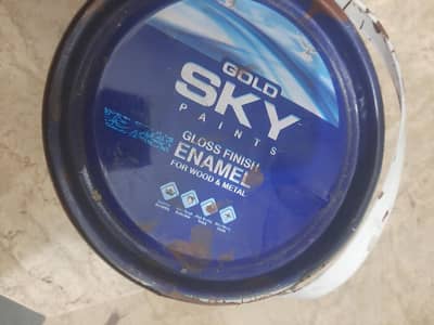 sky paint